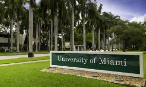 Lee más sobre el artículo Universidades en Miami en Español. ¿Cuáles hay?