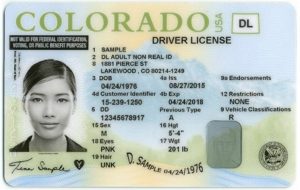 Lee más sobre el artículo Cómo solicitar la licencia para indocumentados en Colorado
