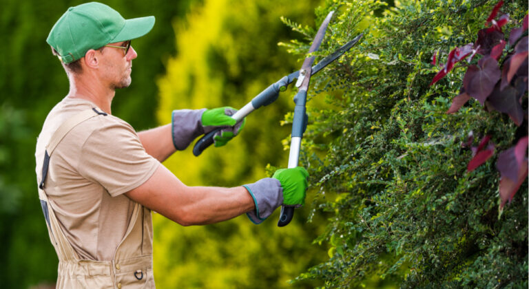 Lee más sobre el artículo Cómo conseguir trabajos de landscaping