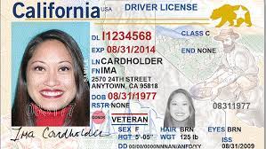 Lee más sobre el artículo Dónde puedo sacar la licencia de conducir en estados unidos