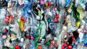 Lee más sobre el artículo Dónde puedo vender botellas de plástico para reciclar