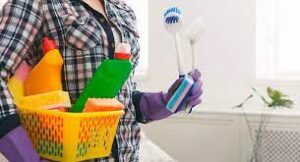 Lee más sobre el artículo ¿Dónde sacar licencia de limpieza de casas?